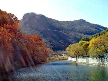 新澳天天开奖资料大全旅游团，各地鸽舍